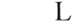 kleyma-tiffany-9.png
