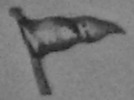 Walker-kleyma-11.png