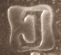 Walkerkleyma-1.png