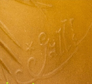 galle11.png
