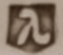 Walkerkleyma-2.png