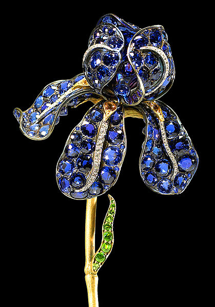 iris-paudinga.png