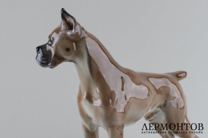 Статуэтка Собака боксер. Фарфор.  Rosenthal, Германия, Theodor Karner, 1944 г.