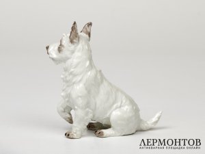 Статуэтка «Скотч-терьер». Фарфор, Potschappel, Германия, 1876–1901 годы