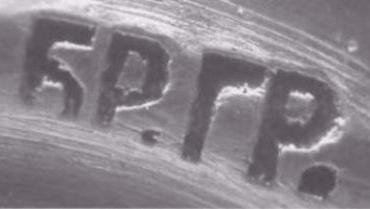 Фабрика братьев Грачевых («Бр. Грачевы»), 1866-1918 г.г.