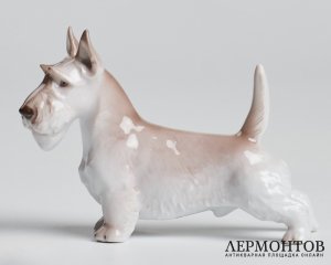Статуэтка «Скотч терьер». Фарфор, Rosenthal, Германия