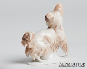 Статуэтка «Скай терьер». Фарфор, Rosenthal, Германия