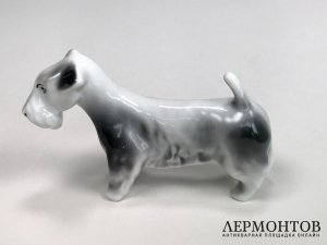 Статуэтка «Скотчтерьер». Фарфор, Drasche, Венгрия, 1937–1944 годы