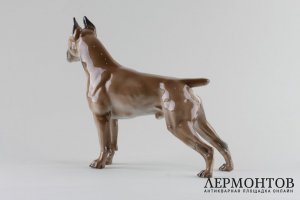 Статуэтка Собака боксер. Фарфор.  Rosenthal, Германия, Theodor Karner, 1944 г.
