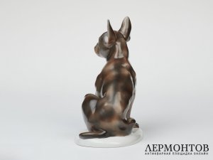 Статуэтка «Бульдог». Фарфор, Fraureuth, Германия, 1919–1926 годы
