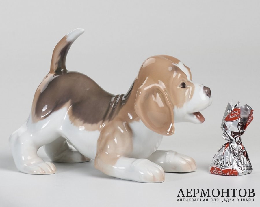 Статуэтка «Щенок бигля». Фарфор, Royal Copenhagen, Дания