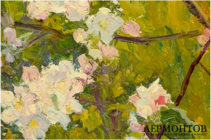 Картина. Цветущая яблоня, 1956 г. Ангелин Феофан Георгиевич. Картон, масло.