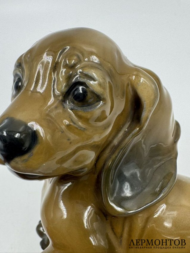 Статуэтка «Такса-щенок». Фарфор, роспись, Rosenthal, Германия, 1-я половина 20 века
