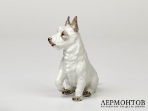 Статуэтка «Скотч-терьер». Фарфор, Potschappel, Германия, 1876–1901 годы