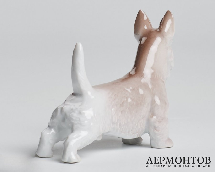 Статуэтка «Скотч терьер». Фарфор, Rosenthal, Германия