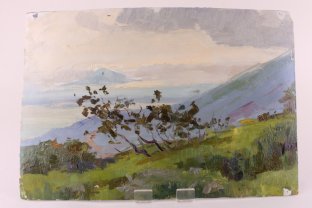 Картина из серии Природа. N3. Чурсин К.Н. Картон, масло. XX в.