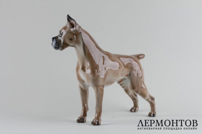 Статуэтка Собака боксер. Фарфор.  Rosenthal, Германия, Theodor Karner, 1944 г.