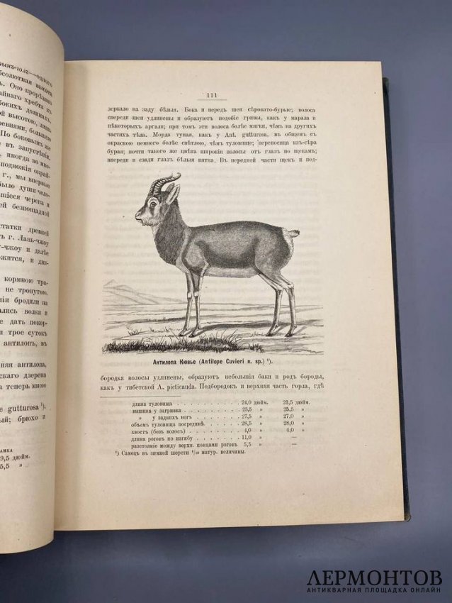 Книга Н. М. Пржевальского «От Кяхты на истоки Жёлтой реки». Россия, 1888 год