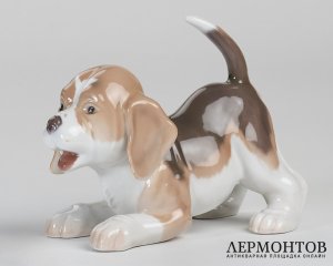 Статуэтка «Щенок бигля». Фарфор, Royal Copenhagen, Дания