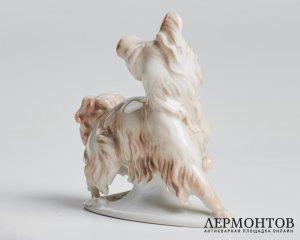 Статуэтка «Скай терьер». Фарфор, Rosenthal, Германия