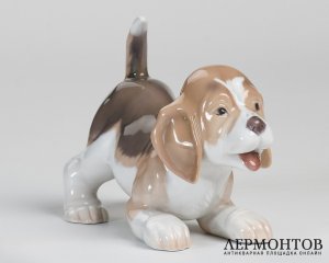 Статуэтка «Щенок бигля». Фарфор, Royal Copenhagen, Дания