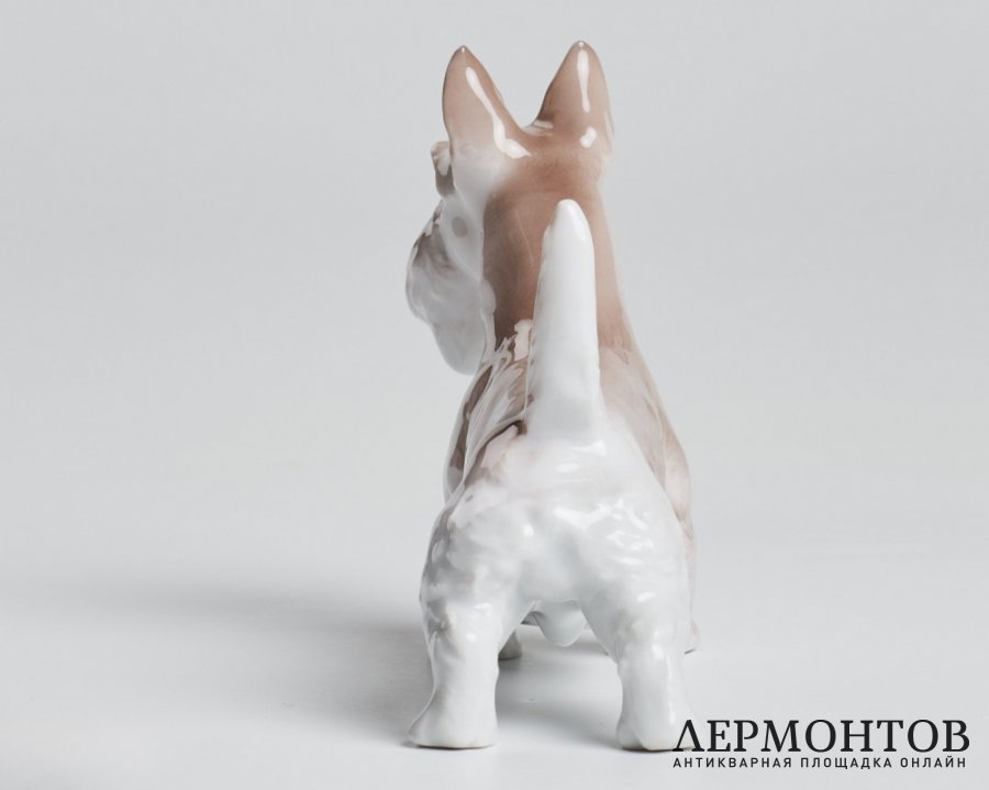 Статуэтка «Скотч терьер». Фарфор, Rosenthal, Германия