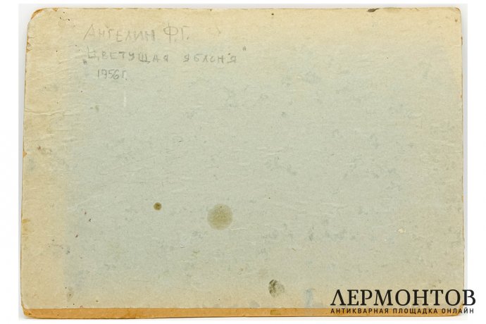 Картина. Цветущая яблоня, 1956 г. Ангелин Феофан Георгиевич. Картон, масло.