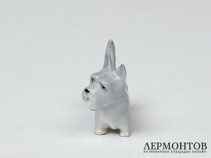 Статуэтка «Скотч-терьер». Фарфор, Pfeffer, Германия, 1934–1942 годы