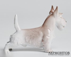 Статуэтка «Скотч терьер». Фарфор, Rosenthal, Германия