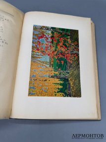 Книга «Полвека для книги. 1866–1916». Издательство Сытина, Россия, 1916 год