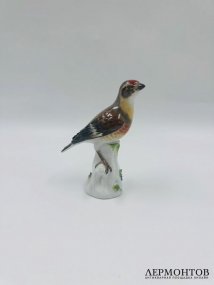 Статуэтка «Щегол». Фарфор, роспись, Meissen, Германия, 1-я половина 20 века