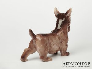 Статуэтка «Скотчтерьер». Фарфор, Ditmar-Urbach, Чехословакия, 1930 год