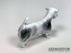 Статуэтка «Скотчтерьер». Фарфор, Drasche, Венгрия, 1937–1944 годы